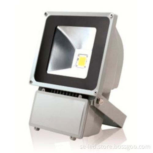 100W Pure White Bridgelux 5 years warranty led flood light bulbs